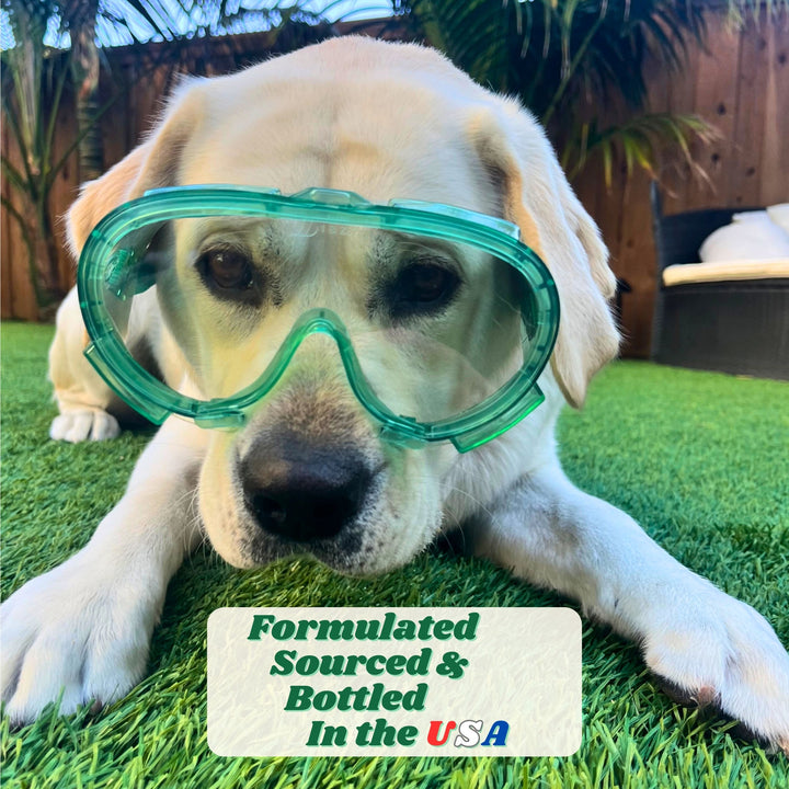Dozzle Bundle: Poozooka Sprayer + FoamZyme Pet/Kid Safe Enzyme Cleaner